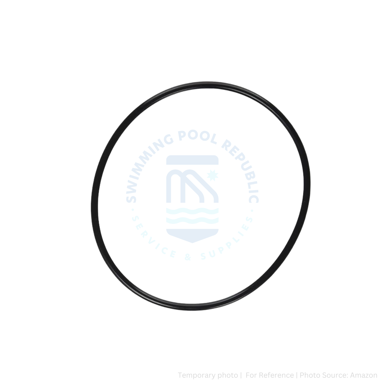 PENTAIR Whisperflo Pump Parts, Diffuser Oring Swimming Pool Republic